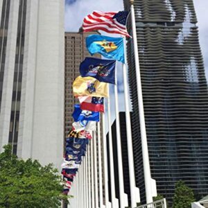 Annin Flagmakers Illinois State Flag USA-Made to Official State Design Specifications, 5 x 8 Feet (Model 141480)