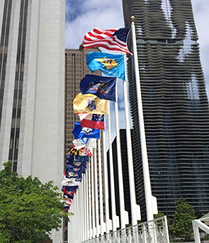 Annin Flagmakers Illinois State Flag USA-Made to Official State Design Specifications, 5 x 8 Feet (Model 141480)