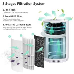 GoKBNY KJ80 True HEPA Replacement Filter Compatible with Druiap KJ80 Purifier, Compared to part# AF3080, 3-in-1 H13 True HEPA Filters（4-Pack）