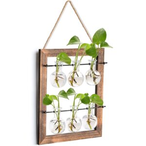 elsjoy wall hanging glass planter, double layer plant terrarium propagation station, mini 6 bulb vase with wooden stand and rope for hydroponics plants, home decor, indoor outdoor