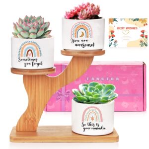 tanstor gifts for women, 3pcs succulent pots with stand holder, anniversary birthday women gift for her, best friend sister colleague garden gifts