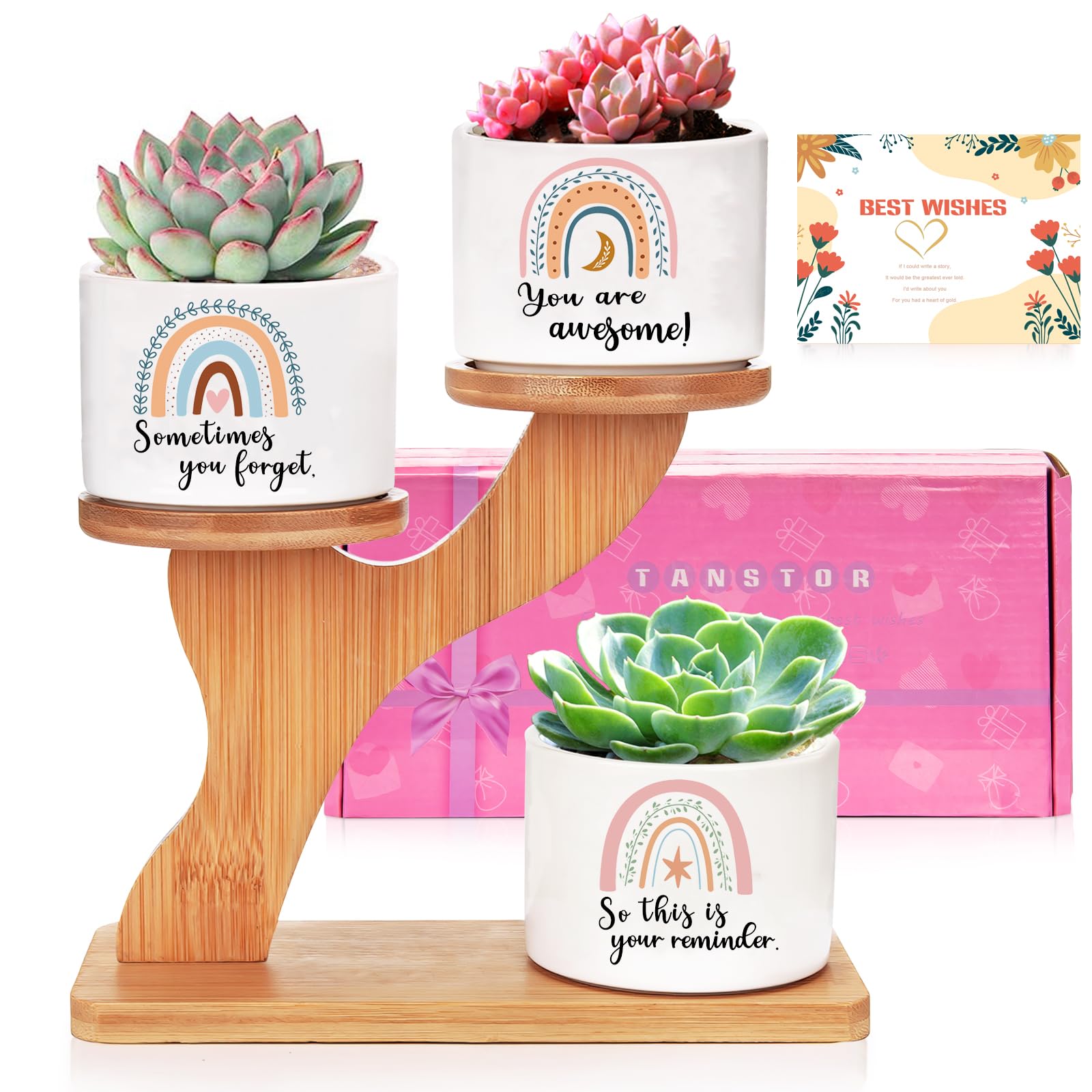 Tanstor Gifts for Women, 3PCS Succulent Pots with Stand Holder, Anniversary Birthday Women Gift for Her, Best Friend Sister Colleague Garden Gifts