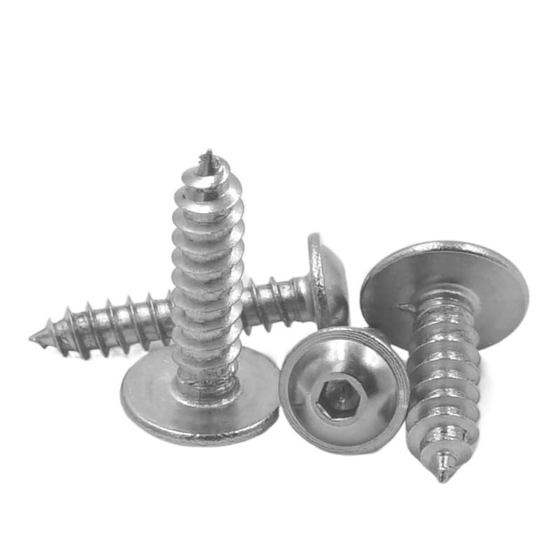 CHANWA 10pcs 304 Stainless Steel Pan Head Hexagon Socket Pad Self-Tapping Screws with Round Head Hexagon Socket Pad Hexagon Socket Screws (Size : M5*12)