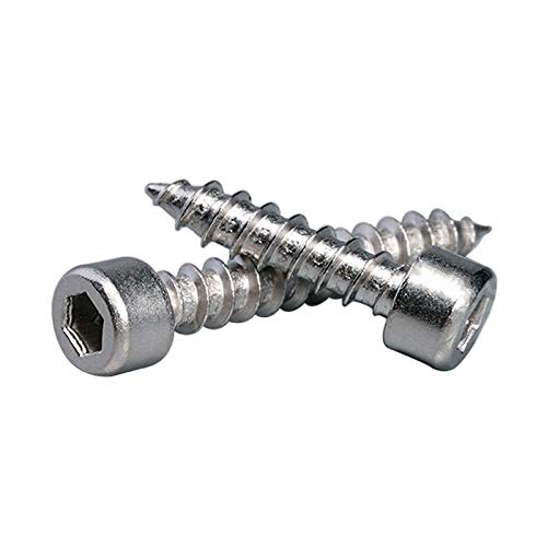 RAWARS Hexagon Socket Screws 10pcs 304 Stainless Steel Cylindrical Head Hexagonal self-Tapping Screws M3M6 Cup Head self-Tapping Screws (Size : M5*12)