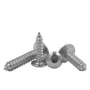 CHANWA 10pcs 304 Stainless Steel Umbrella Head/Mushroom Head Hexagonal self-Tapping Screws Large Flat Head Hexagonal self-Tapping Screws Hexagon Socket Screws (Size : M5*12)