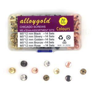 Alloygold 70 Sets Chicago Screw 1/2 inches Kit 5 Color Leather Rivets Screw Rivets Chicago Screw Buttons DIY Leather Trim Black Silver Gold Copper Rose Gold （M5*12）