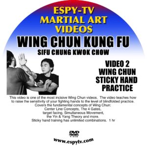 wing chun kung fu 2 - wing chun sticky hand practice