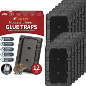 LULUCATCH Mouse & Insect Traps 12 Pack, Heavier Sticky Traps with Non-toxic Glue for Small Mice & Insects. Sticky Mouse Traps Indoor, Easy to Set, Safe to Children & Pets