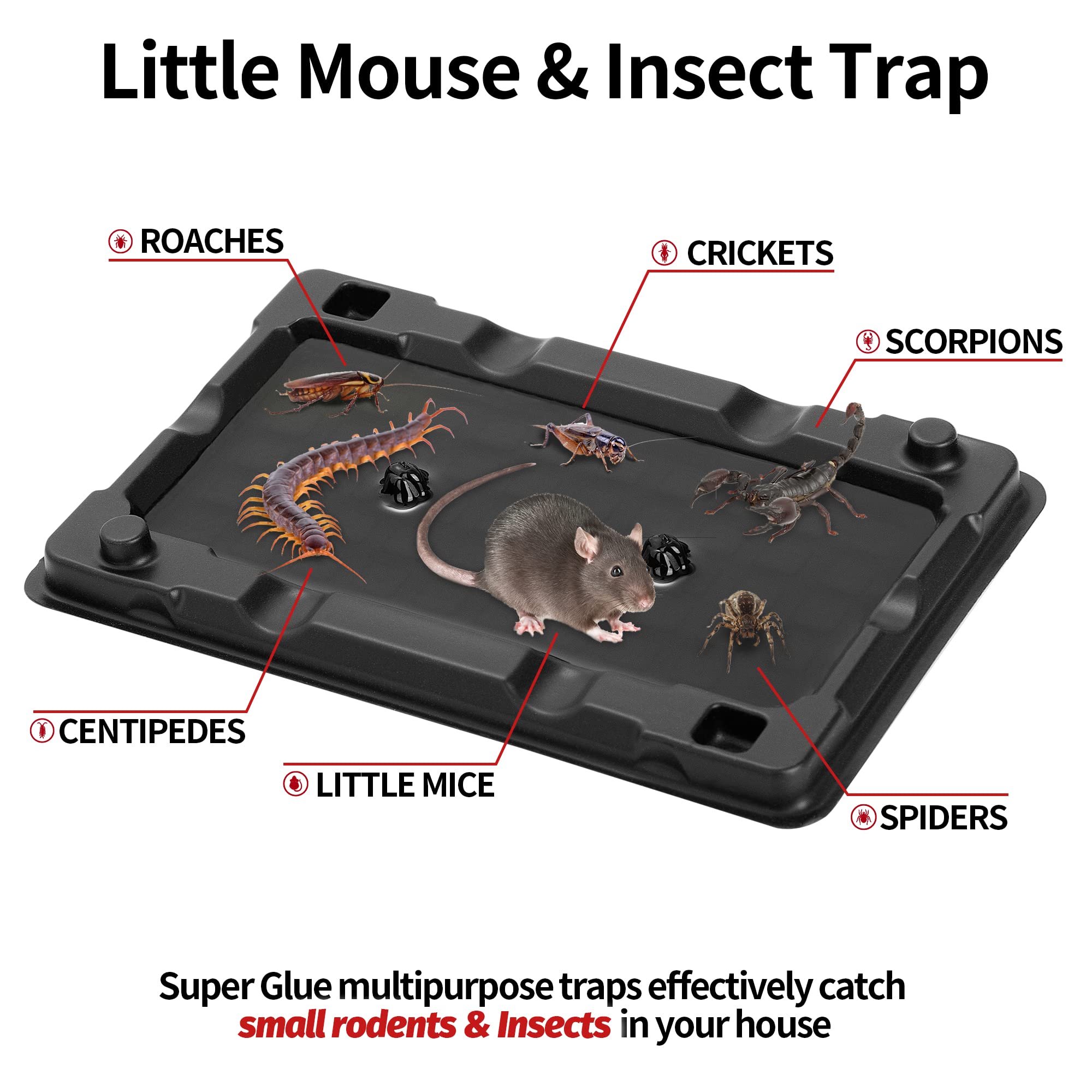 LULUCATCH Mouse & Insect Traps 12 Pack, Heavier Sticky Traps with Non-toxic Glue for Small Mice & Insects. Sticky Mouse Traps Indoor, Easy to Set, Safe to Children & Pets