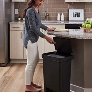 Rubbermaid Premier Series II Step-On Trash Can for Home and Kitchen, with Lid Lock and Slow Close, 13 Gallon, Charcoal