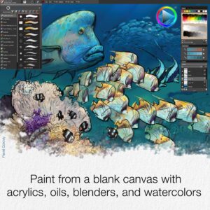 Corel Painter Essentials 8 | Beginner Digital Painting Software | Amazon Exclusive Brush Pack Bundle [PC Download]