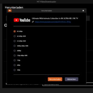 Video and Audio Downloader PRO 2 software for YouTube – download your favorite YouTube videos as MP4 video or MP3 audio – compatible with Windows 11, 10, 8