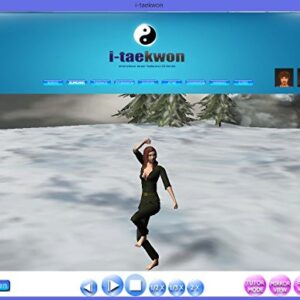 Taekwondo 3D Black Belt Form Kukkiwon Taekwondo Poomsae Tutorial PC Software