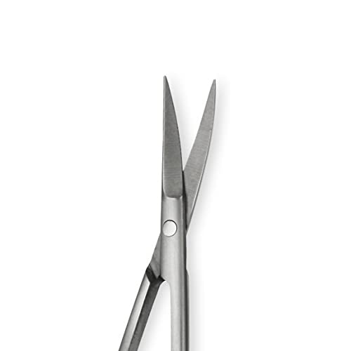 Amazon Basics Beauty Scissors, Stainless Steel, Silver