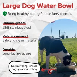 PEDAY 2.64 Gallon Extra Large Dog Water Bowl, Human Grade Stainless Steel, for Extra Large Sized Dogs - Silver Classic