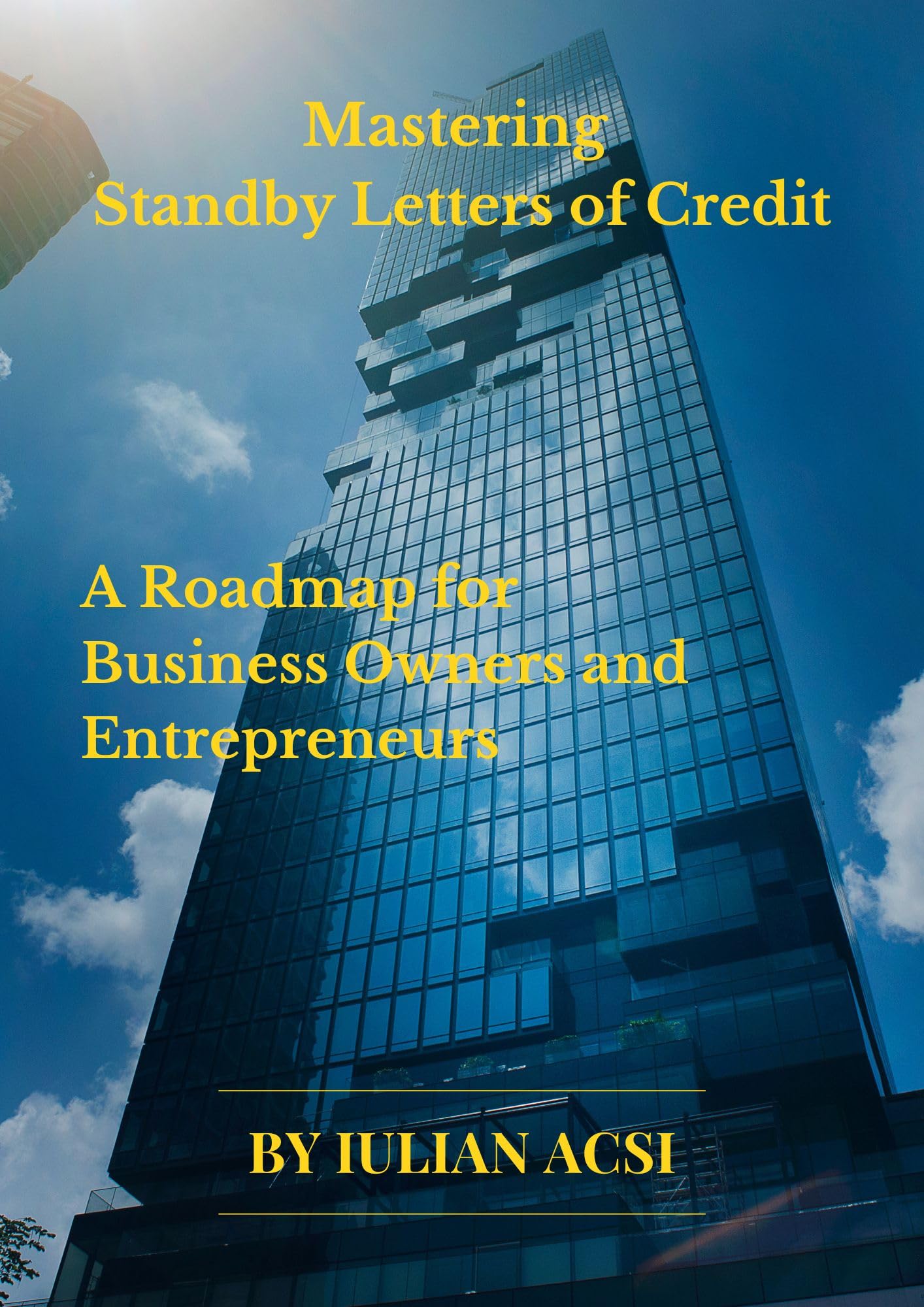 Mastering Standby Letters of Credit: A Roadmap for Business Owners and Entrepreneurs (Bank Guarantees and Standby Letters of Credit: Tools for Global Trade Success Book 3)