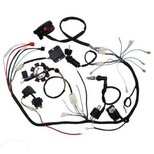 OTOHANS AUTOMOTIVE Complete Electrics Stator Coil CDI Wiring Harness with Full Copper Wire for 4-Stroke ATV QUAD 150cc-300cc