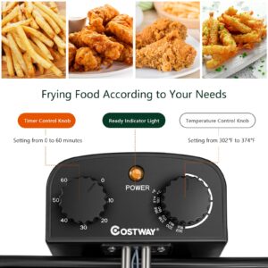 COSTWAY Deep Fryer with Basket, 5.3Qt Stainless Steel Electric Oil Fryer w/Adjustable Temperature, Timer, Lid with View Window, Professional Style, Deep Fryer Pot for Home Use, French Fries, Chicken