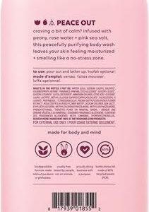 Method Body Wash, Pure Peace, Paraben and Phthalate Free, 18 oz (Pack of 1)