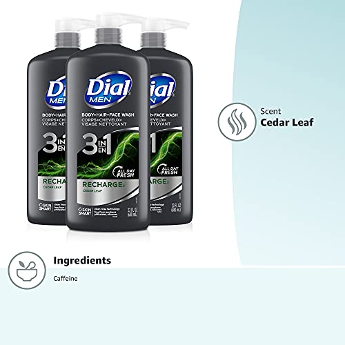 Dial Men 3in1 Body, Hair and Face Wash, Recharge, 69 fl oz (3-23 fl oz Bottles)