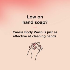 Caress Hydrating Body Wash with Pump Shower Gel For Soft, Silky Skin Daily Moisture Body Wash With Silk Extract & Floral Oil Essence, 25.4 Fl Oz (Pack of 4)