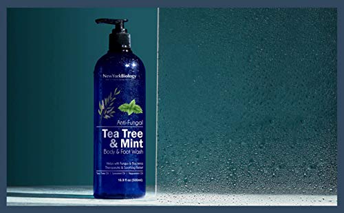 New York Biology Tea Tree Mint Body Wash for Men and Women - Moisturizing Body Wash Helps Fight Athletes Foot, Itchy Skin, Jock Itch, Toenail Fungus, Ringworm, Body Odor, Acne and Eczema - 16.9 Fl Oz