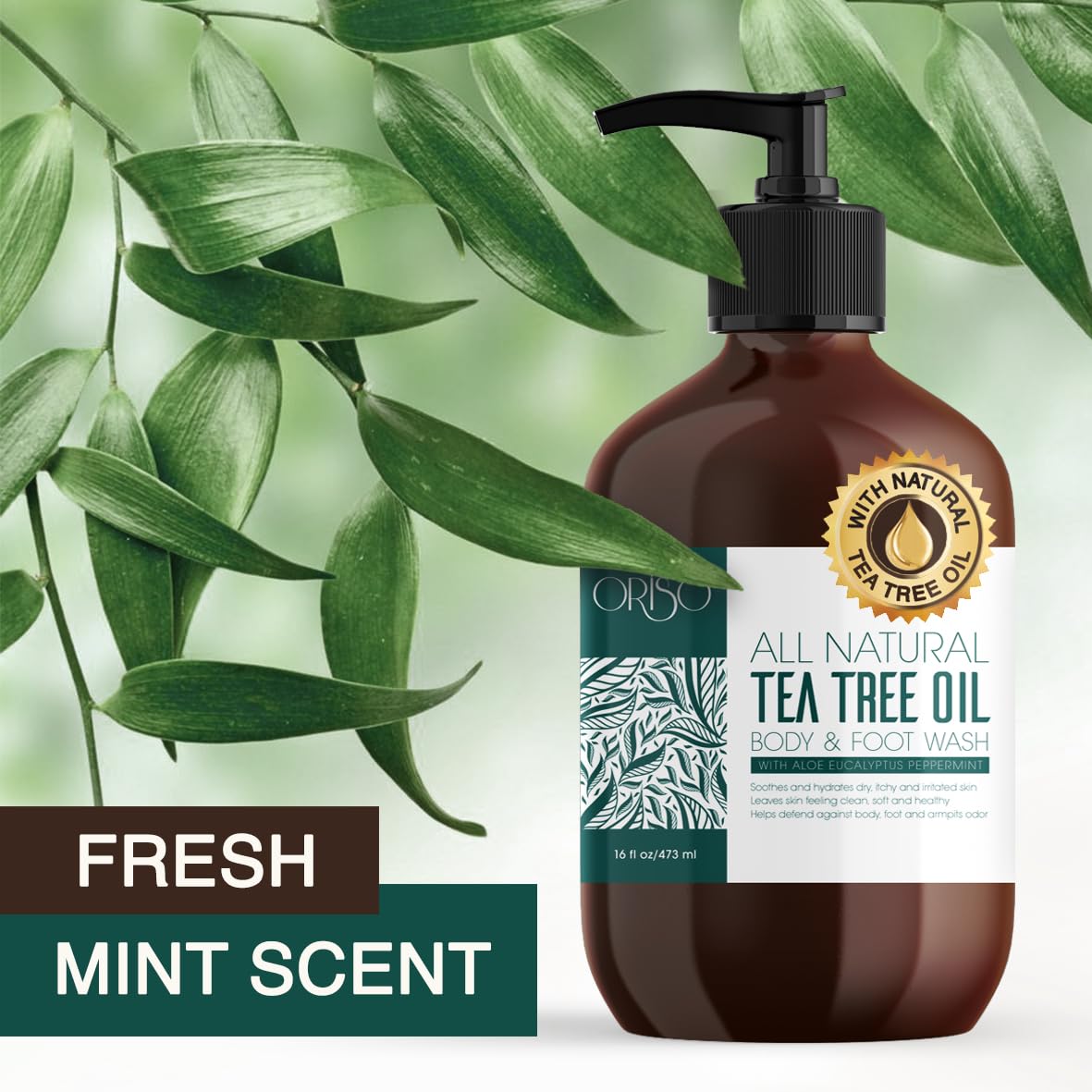 Tea Tree Oil Body Wash - Helps Athletes Foot, Ringworm, Jock Itchy, Acne, Eczema, Yeast Infection, Body Odor, Itchy Skin - With Moisturizing Aloe - Sulfate Free - 16oz