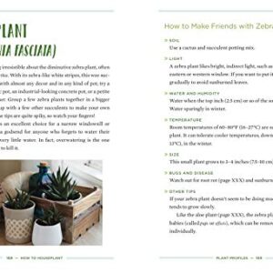 How to Houseplant: A Beginner’s Guide to Making and Keeping Plant Friends