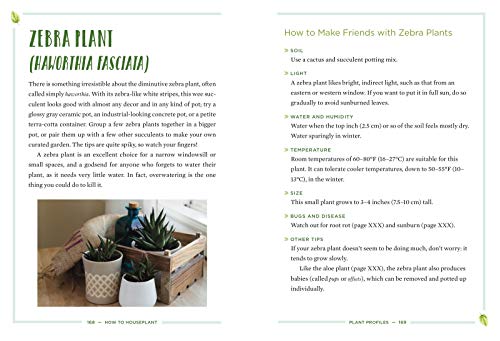 How to Houseplant: A Beginner’s Guide to Making and Keeping Plant Friends