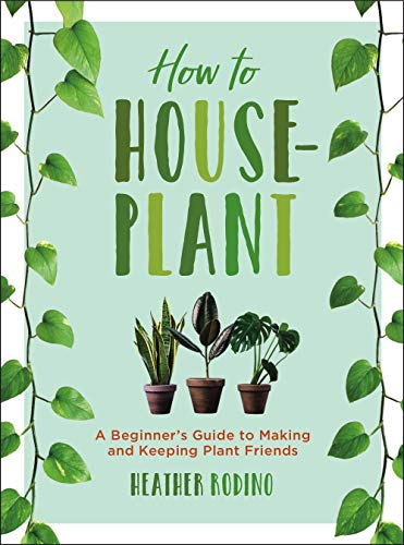 How to Houseplant: A Beginner’s Guide to Making and Keeping Plant Friends