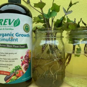 Organic REV Natural Plant Food 32 Ounce for Healthier Plants