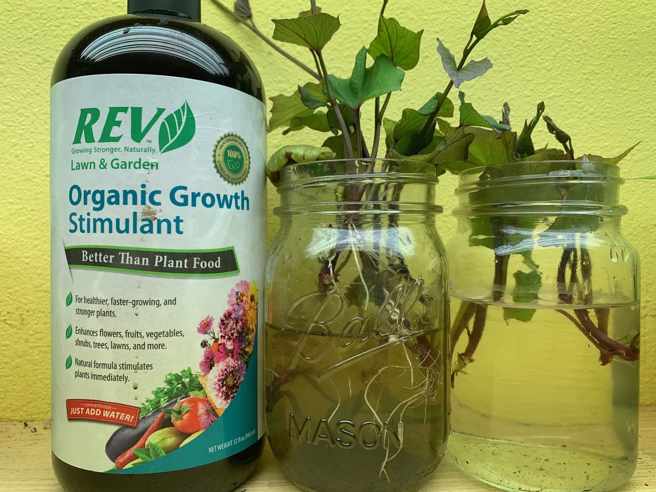 Organic REV Natural Plant Food 32 Ounce for Healthier Plants