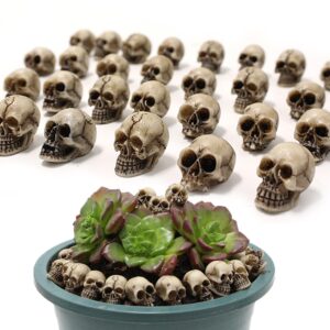 upokjens 20pcs halloween mini skulls figurine decoration realistic looking skulls for halloween home haunted house day of the dead decor party supplies