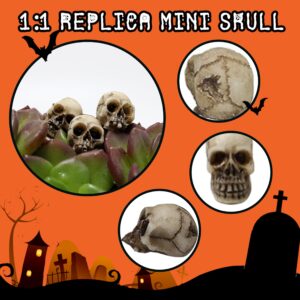 Upokjens 20Pcs Halloween Mini Skulls Figurine Decoration Realistic Looking Skulls for Halloween Home Haunted House Day of The Dead Decor Party Supplies