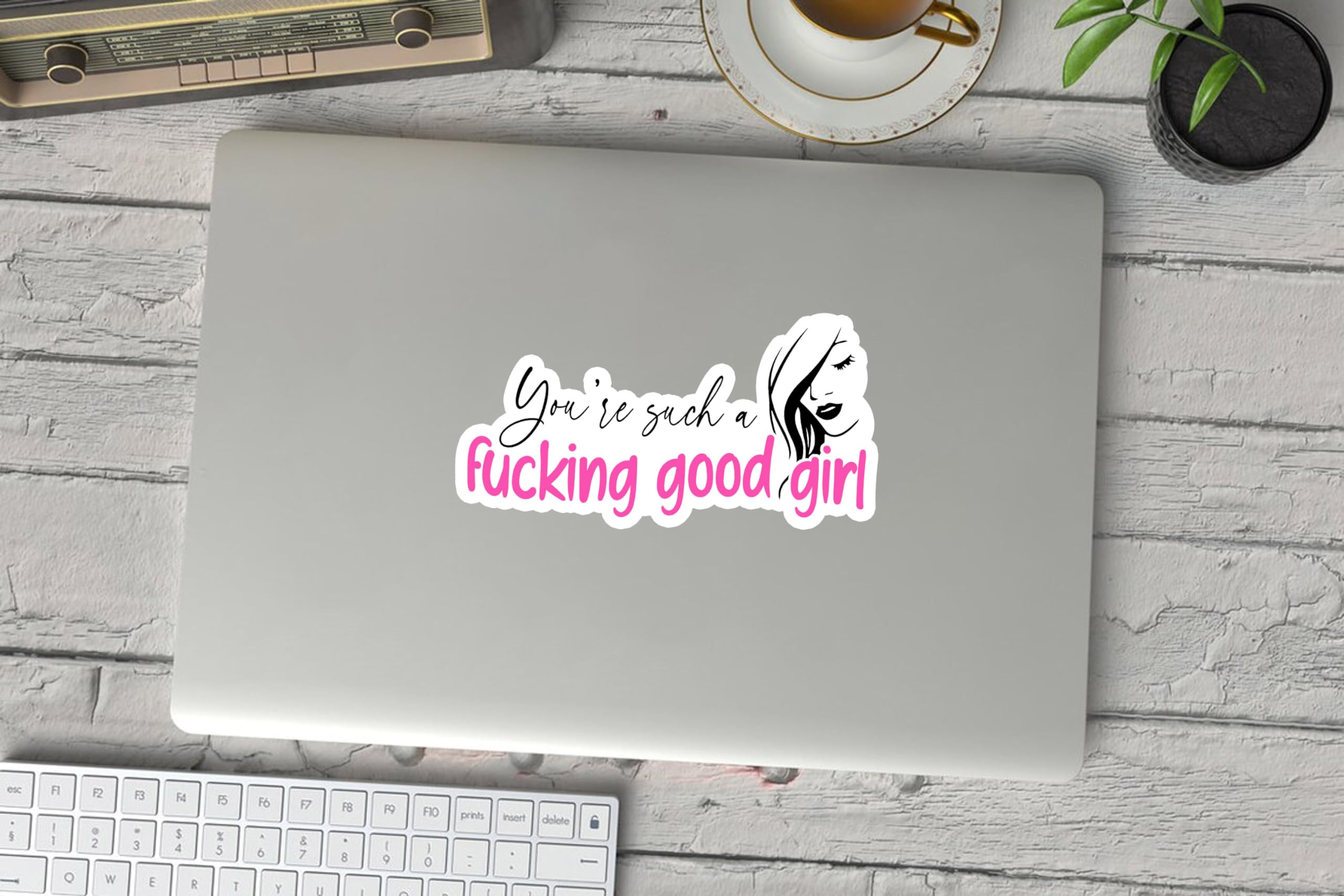 Such a F*cking Good Girl Sticker, Romance Sticker, Smut Sticker, Good Girl Sticker, Reading Sticker, Water Assitant Die-Cut Vinyl Funny Decals for Laptop, Phone, Water Bottles, Kindle Sticker