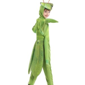 Seasons Child Praying Mantis Costume (L(10-12))