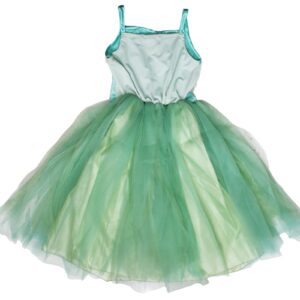 Petitebella Fairy Costume Dress 1-10y (Mint Green, 4-6year)