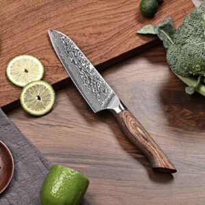 KINGOD 5 Inch Santoku Knife - Japanese VG10 Steel Core - Ultra Sharp Blade - Ergonomic Wooden Handle - Kitchen Essentials