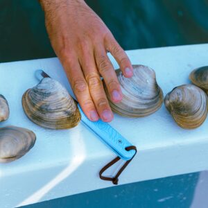 Jetsam Eco-Friendly Clam Knife