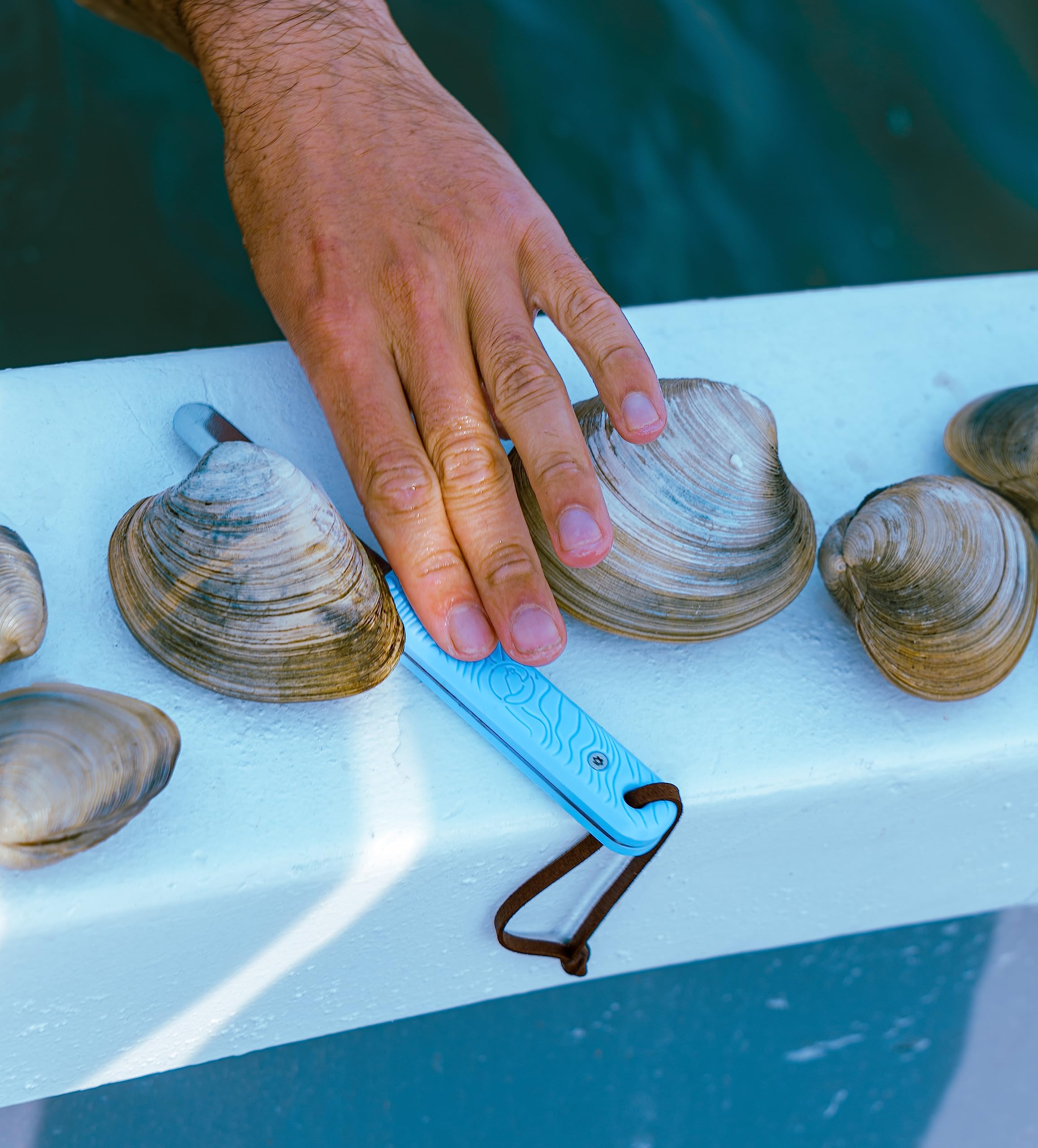 Jetsam Eco-Friendly Clam Knife