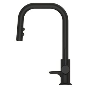 Pfister Zanna Kitchen Faucet with Pull Down Sprayer and Soap Dispenser, Single Handle, High Arc, Matte Black Finish, F5297ZNRB