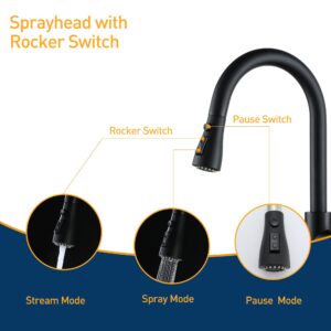 Black Kitchen Sink Faucets with Pull Down Sprayer, Single Handle High Arc Kitchen Faucet with Deck Plate RV Kitchen Faucet 2 Modes & 360°Rotation