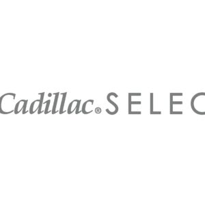 Cadillac Select Premium Cream Shoe Polish - Neutral