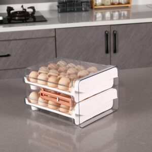 Sooyee 40 Capacity Egg Container for Refrigerator, Household Egg Holder for Fridge, Transparent 2 Drawers Chicken Egg Storage Container,White