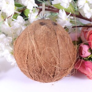 POPETPOP Pet Sleeping Nest Animal Squirrel Nest Hanging Hamster Nest Pet Bamboo Animal Nest