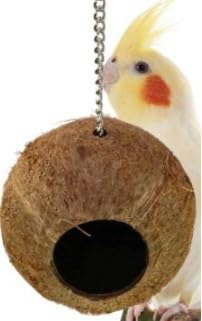 Natural 5.1'' Coconut Shell Bird Nest House Hut for Pet Parrot Cage Seed Feeder Toy Nesting Box (Natural Surface)