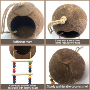 Hanging Coconut Bird House with Ladder,Natural Coconut Fiber Shell Bird Nest for Parrot Parakeet Lovebird Finch Canary,Coconut Hide Bird Swing Toys for Hamster,Bird Cage Accessories,Pet Bird Supplies