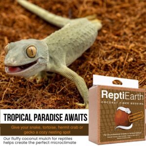 ReptiEarth Reptile Bedding, Fluffy Coconut Fiber Substrate Organic Coco for Bioactive Snake Terrarium, Lizard Tanks with Plants, for Frog Habitat, Tarantula or Hermit Crab Enclosure (72 Quart Block)