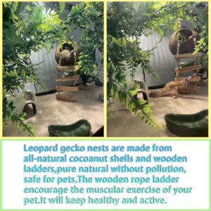 kathson Leopard Gecko Coconut Husk Hut Reptile Habitat Accessories Hideout Hole Climbing Ladder Bendable Hanging Plants Sleeping Hiding Breeding Apply to Amphibians and Small Animals