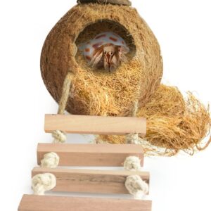 SunGrow Hermit Crab Coconut Hut with Ladder and Bedding, Perfect Mansion for Geckos, Pocket Pets, Small Birds, and Hermit Crabs, 1.5 oz. Bedding Included for Amazing Value